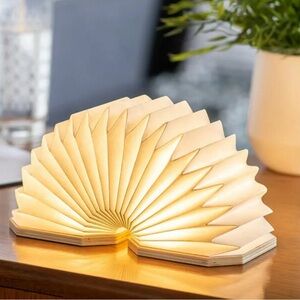 Foldable and light-up bamboo accordion lamp